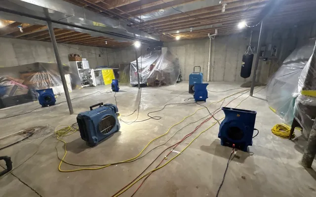 Basement Flood Cleanup in Pearland, TX