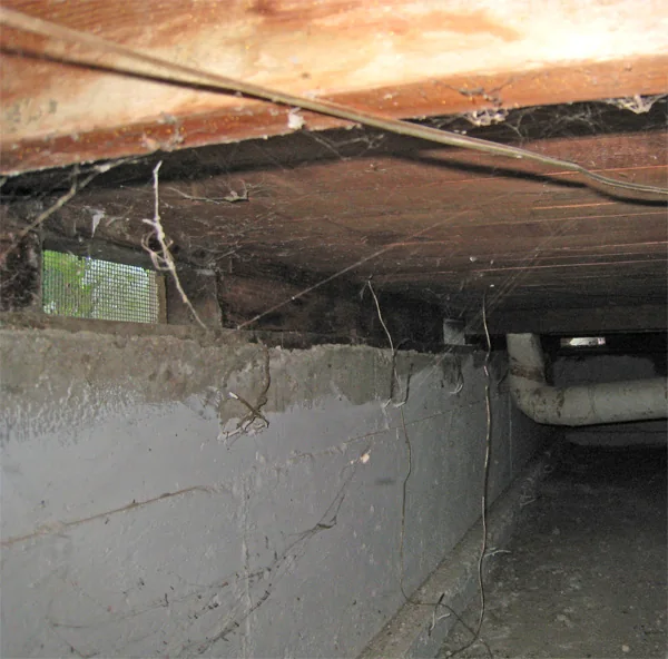 Crawlspace Water Removal in a Pearland home