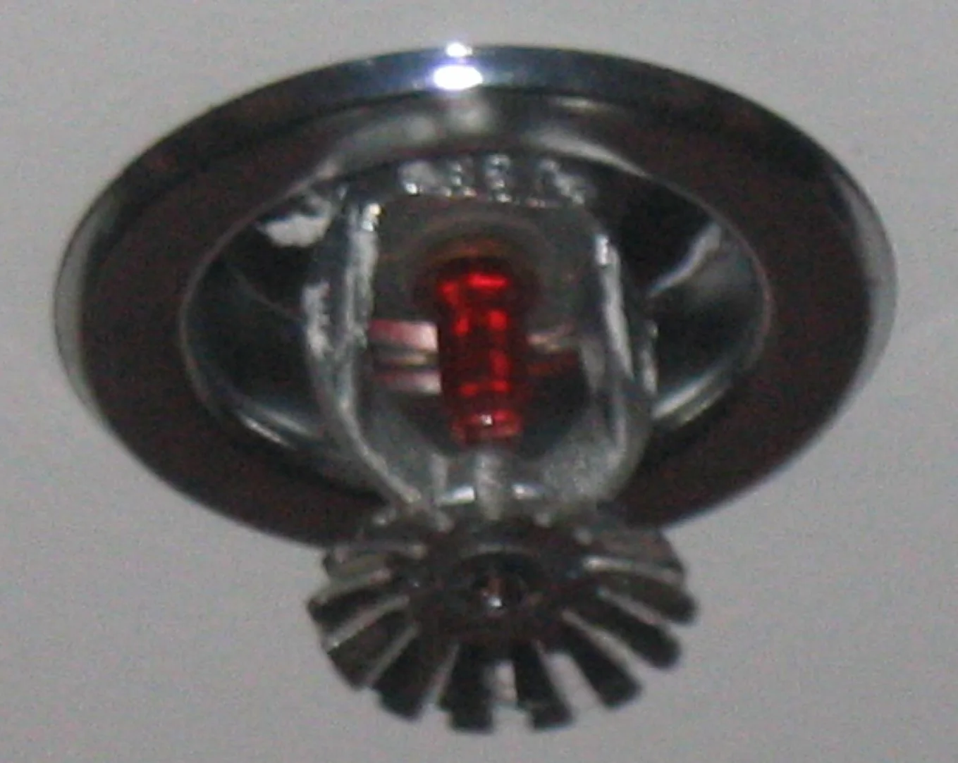 Fire Sprinkler Discharge in a Pearland home