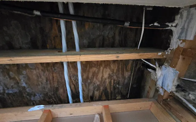 Roof Leak Water Damage in Pearland, TX