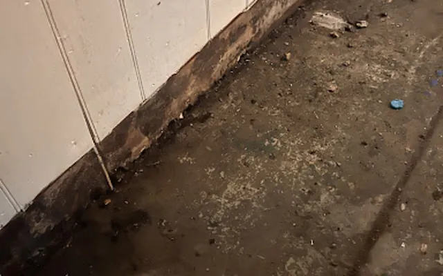 Sewage and Black Water Cleanup in Pearland, TX